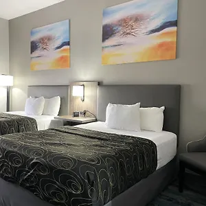 Hotel La Quinta By Wyndham, Tampa